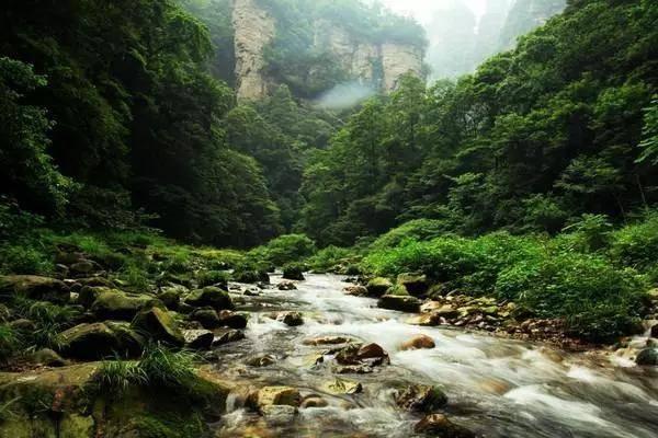 请收藏!萝卜·元宵·糖球会大鲍岛会场出行攻略