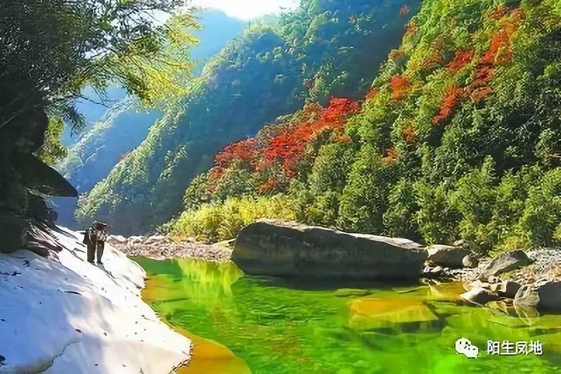 逗小猴开心系列199